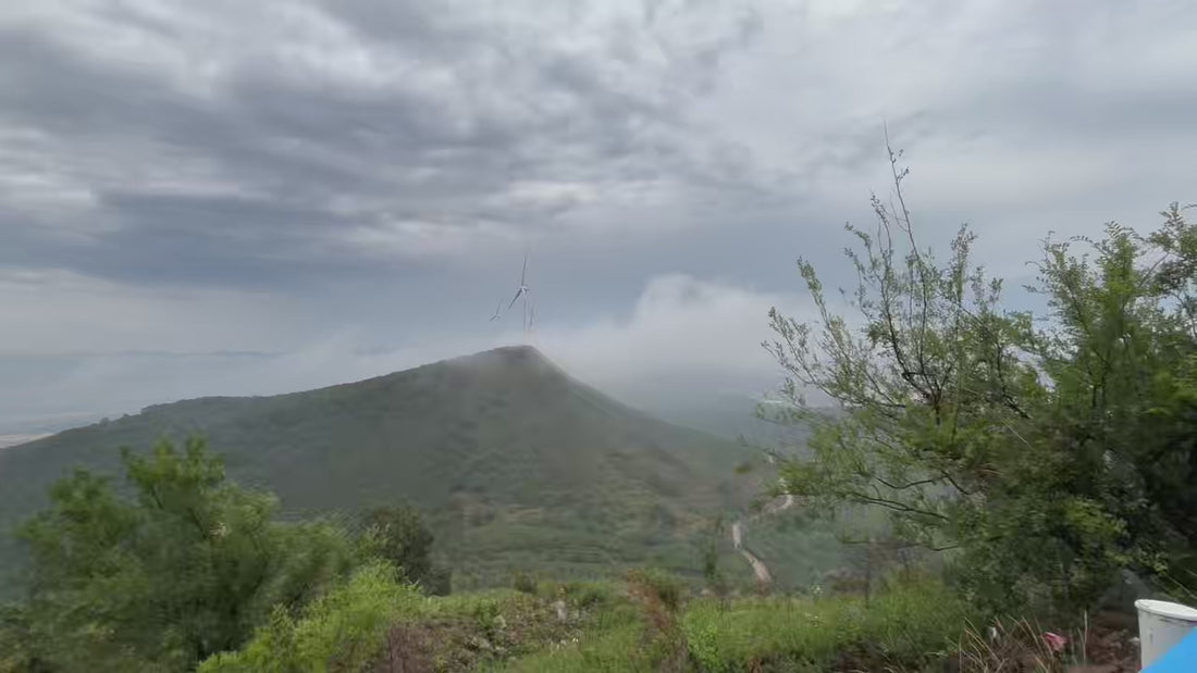 From our family workshop at the foot of Niangniang Mountain.